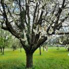 images/bg_stellplatz/stellplatz04.jpg